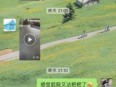 -宠物之家Pets Home 宠物寄养酒店