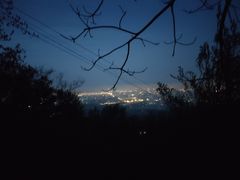 -紫金山山顶公园