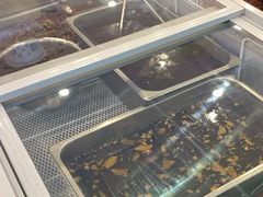 -鸿运兔·手撕烤兔(天府广场店)