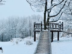 -中旅松花湖滑雪场