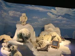 -成都泰迪熊博物馆