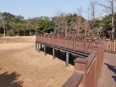 -立新湖公园