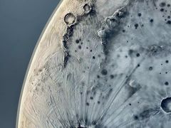 -FULL MOON满月咖啡