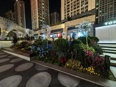 -一坐一忘云南菜(卓悦中心)