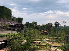 -河川生态园
