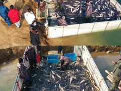 -南京金牛湖风景区