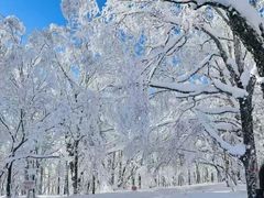 -长白山万达国际滑雪场
