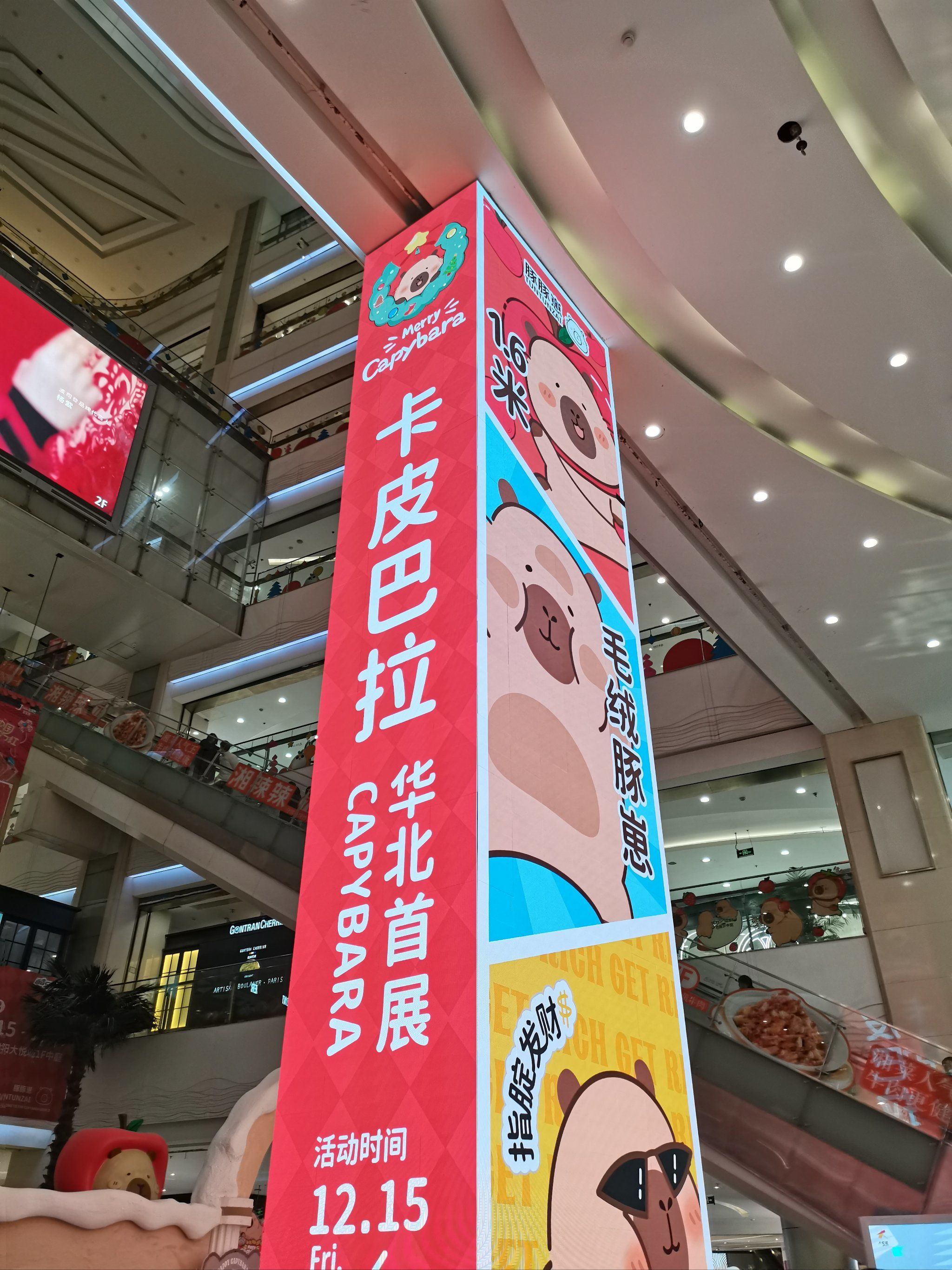 超火的卡皮巴拉快闪店