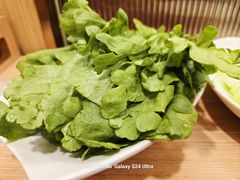 -蝎王府羊蝎子(朝阳北路店)