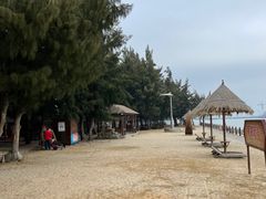 -北海金海湾红树林生态旅游区