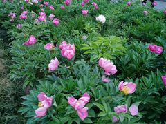 -木塔寺遗址生态公园