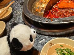 -蜀大侠火锅(总府路店)