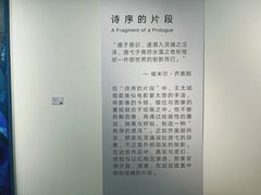 -辰熙ACX星海艺术中心