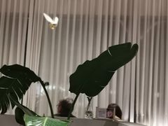 -IL Forno 意坊·意大利餐厅(温州万象城店)
