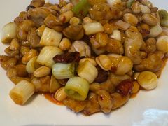 -八珍饺子·烤鸭·家常菜
