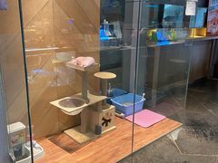-约网咖(西塔店)