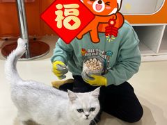-三花喵·撸猫购宠·宠物生活馆(虹桥南丰城店)