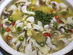 -青花椒花椒鱼(合生汇店)