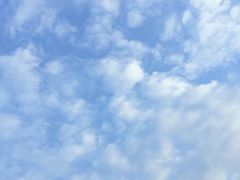 -反斗乐园π·电玩·高空拓展·蹦床(龙华天虹店)