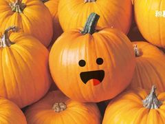 -BETTER拜特精品超市(丹尼斯一天地店)