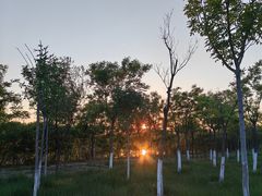 -天津东丽湖风景区
