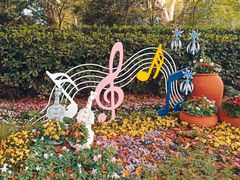 -上海共青森林公园