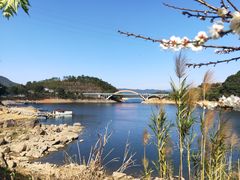 -广州市流溪河国家森林公园