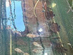 -蓝湾碧波·老字号·疍家非遗海上餐厅