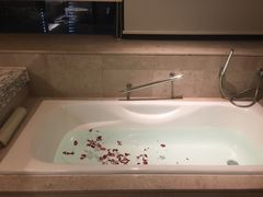 -上海龙之梦万丽酒店