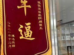 -萌兽医馆·宠物医院·猫骨科(创景店)