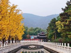 -晋祠公园