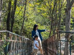 -云岫谷自然风景区