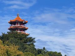 -深圳市中科院仙湖植物园