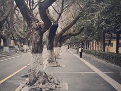 -颐和路民国时期公馆风貌区