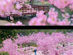 -新江湾城公园