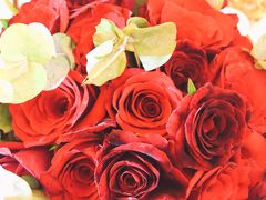 -香港美食大酒楼