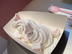 -狐狸和向日葵(北京路店)