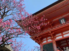 -有栖山 清光院 清水寺