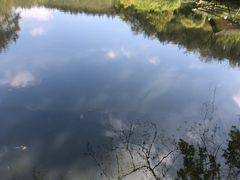 -韶山毛泽东同志故居