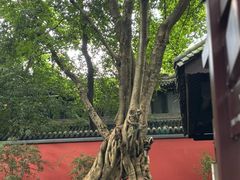 -成都武侯祠博物馆