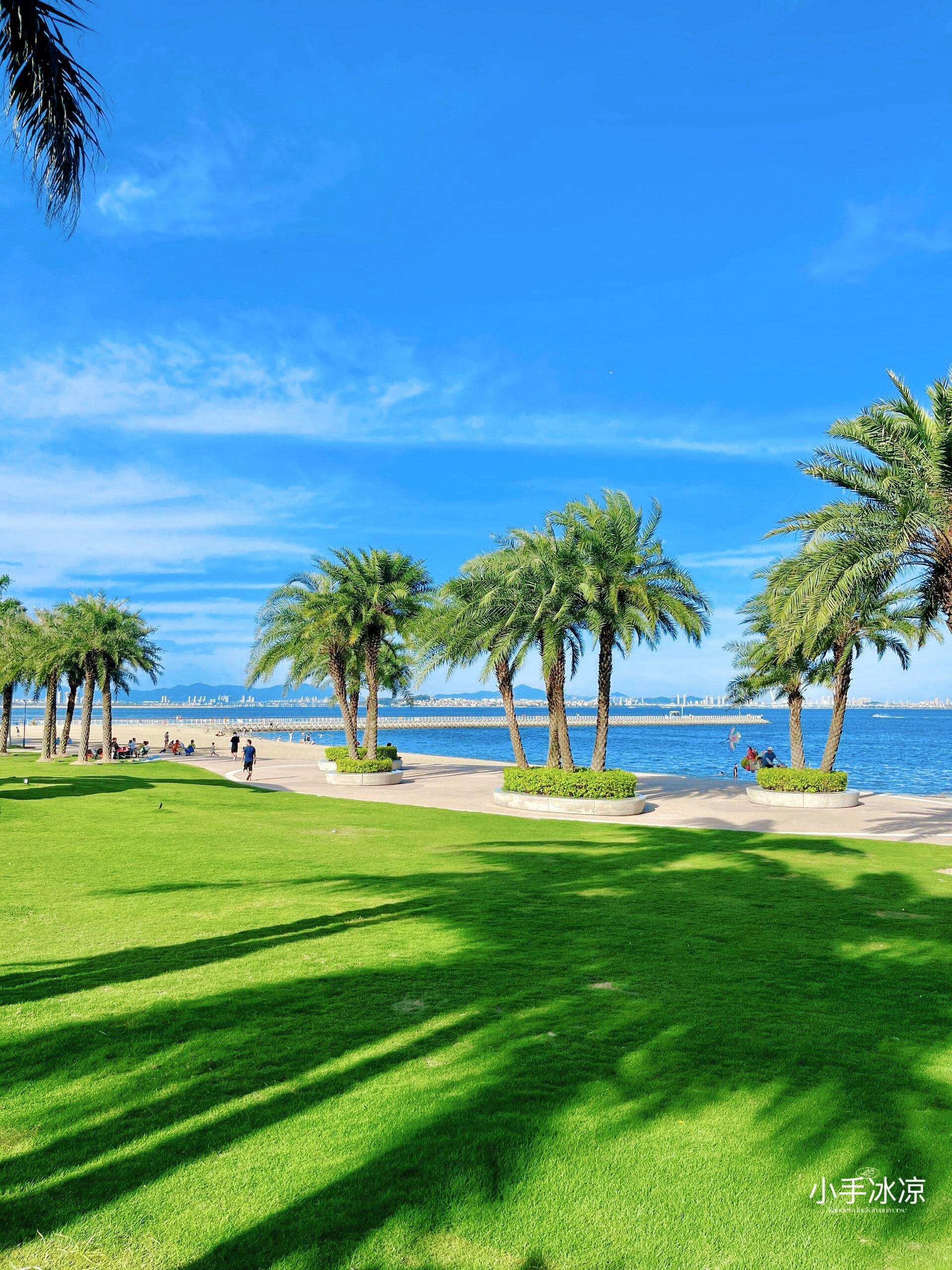 🏖邂逅厦门隐秘仙境,这片海滩美到让人不舍入眠