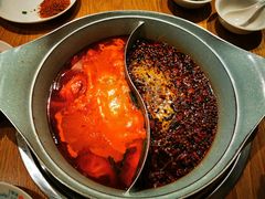 -青瓷火锅料理(西单大悦城店)
