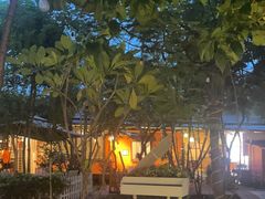 -陶缘一号·四季缘·老字号顺德菜·户外婚礼家宴(西滘店)