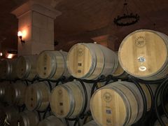 酒窖-北京张裕爱斐堡酒庄