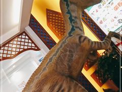 -世界恐龙谷景区