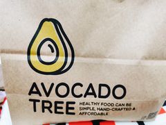 -油梨树AVOCADO TREE(望京店)
