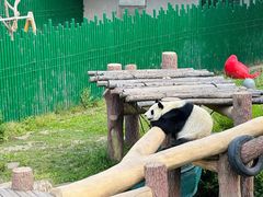 -沈阳森林动物园