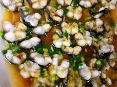 -呼吸森林·生态农庄农家乐私房菜