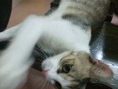 -练掌门·火锅&烧烤&烤鱼(北亭店)