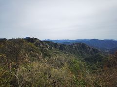 -大岭沟猕猴桃谷风景区